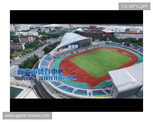 深入探讨赛搏体育对青少年体育发展的影响及作用